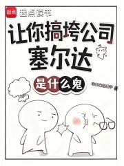 让你搞垮公司，塞尔达是什么鬼？